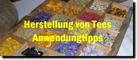 Herstellung von Tees