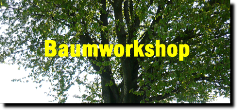 Angebot: Baumworkshops