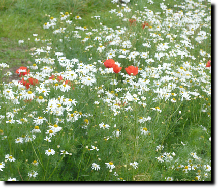 Angebot f�r Senioren